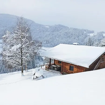 Almliesl Altz-718 Σαλέ Altenmarkt im Pongau